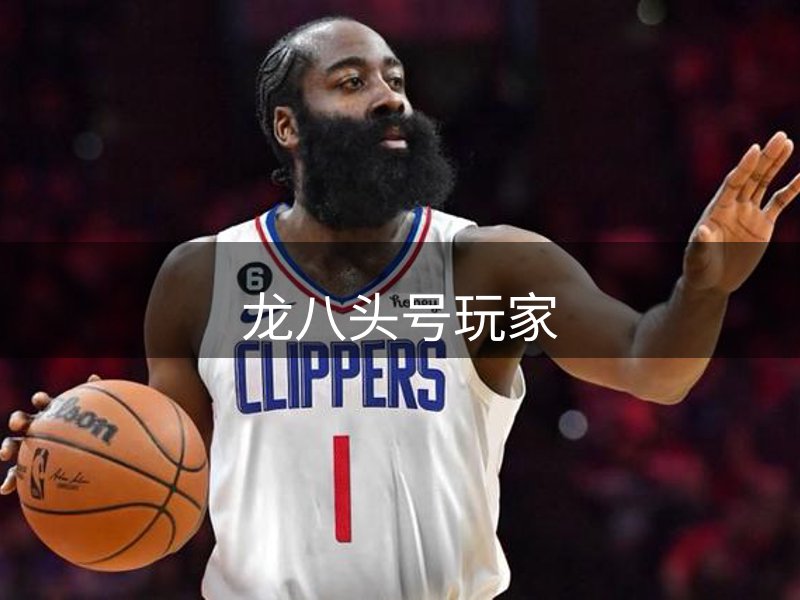 龙八头号玩家概况